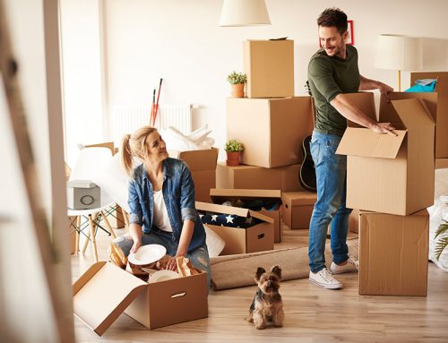 What is a Colorado Special Enrollment Period?