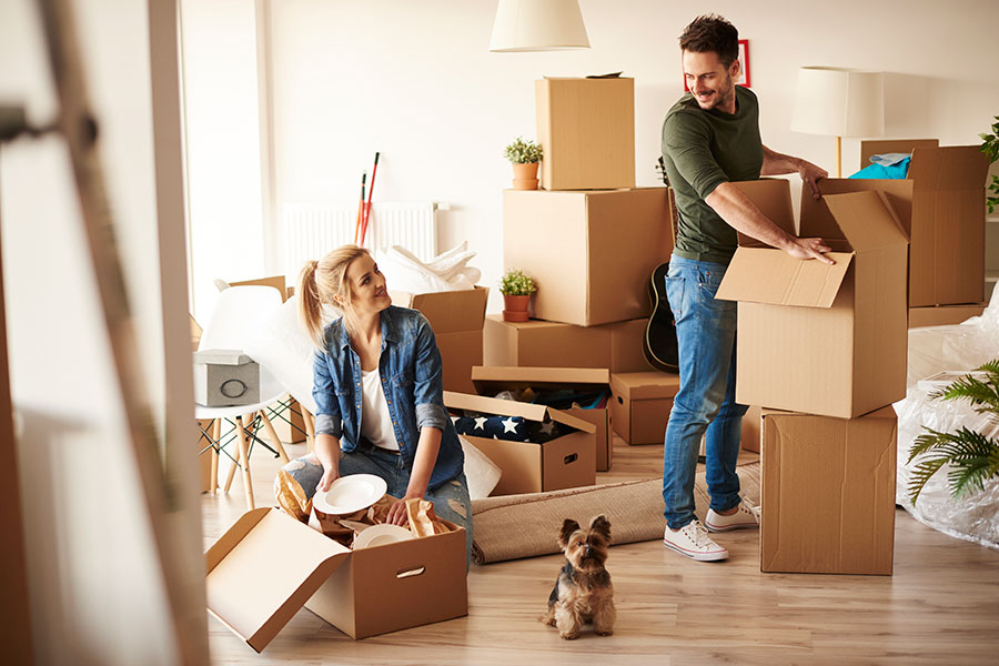 moving day
