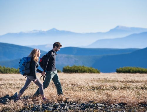 Is Infertility Covered in Colorado?